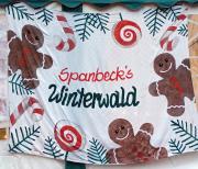 Winterwald02